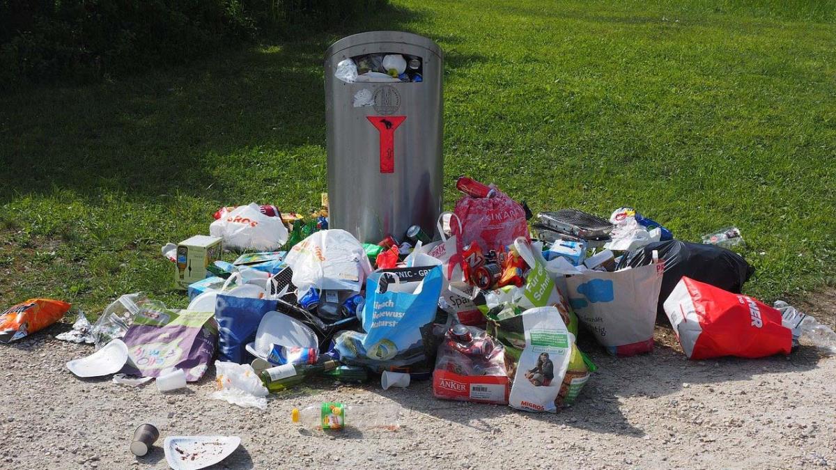 Desde HenaresXelclima consideran que colocar papeleras abiertas en la zona es un gran error