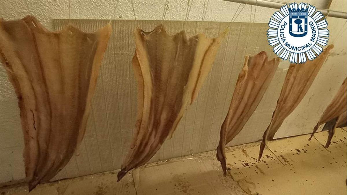 Tenían carnes y pescados colgados del techo, salidas de emergencia cerradas y pirotecnica sin licencia