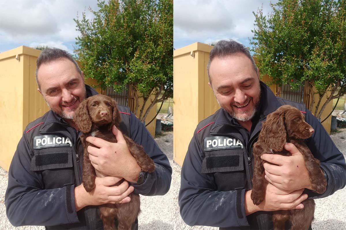 Una perrita de solo dos meses entra en el cuerpo de policía local de Alcobendas 