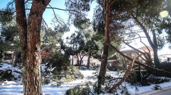 Los vecinos y vecinas de Rivas podrán acceder al servicio