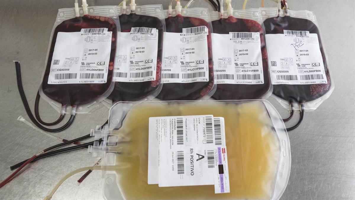 Un proyecto desarrollado por CSIC creará glóbulos rojos sintéticos