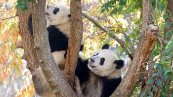 Madrid prepara más de 1.300 actividades hasta el 20 de noviembre