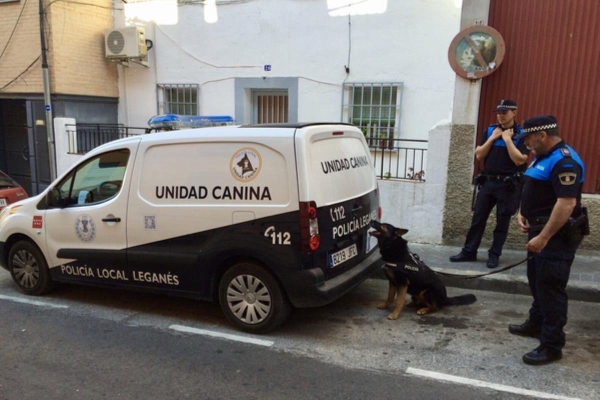 La operación deja dos detenidos acusados por delitos contra la salud pública y defraudación del fluido eléctrico