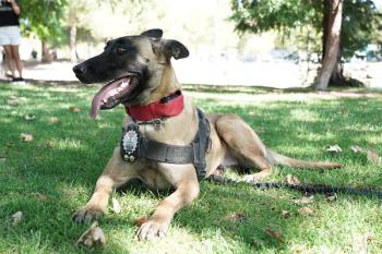 La unidad estuvo activa para las ‘No fiestas’