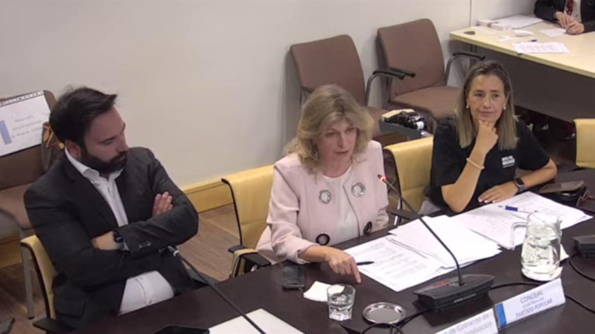 El Ayuntamiento de Madrid critica la “imposición” de este cobro 