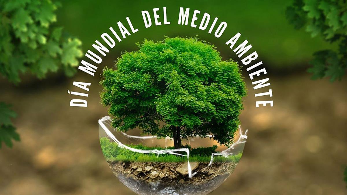 Alcalá integra el lema elegido por Naciones Unidas: “Sin Contaminación por plásticos”