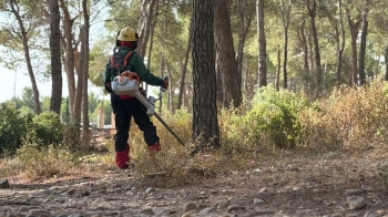 El Cuerpo de Bomberos ha iniciado las labores de limpieza y acondicionamiento en la Dehesa del Carrascal