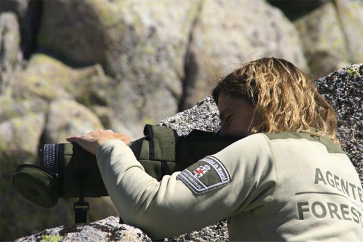 La Comunidad de Madrid refuerza la protección de estos hallazgos en nuestra región