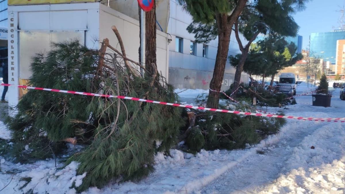 El presupuesto habilitado pretende ser un suplemento al de la Comunidad y el del Estado