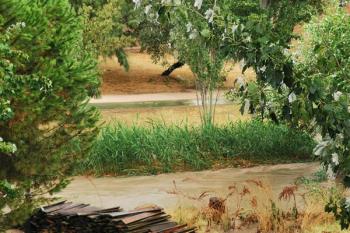 Lee toda la noticia 'Las balsas de agua afectan a varias calles de Arroyomolinos'