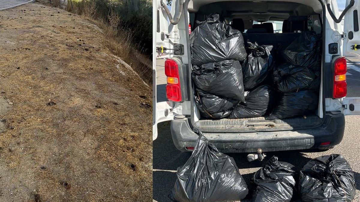 Los operarios de limpieza han retirado cientos de kilos de deposiciones de mascotas