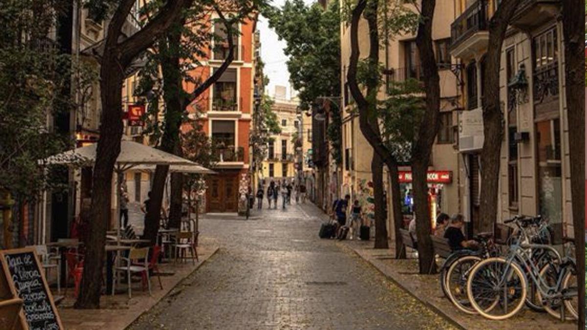 Rita Maestre toma como ejemplo una de las vías de Valencia para ejemplificar la 'Red Verde' que propone la formación 