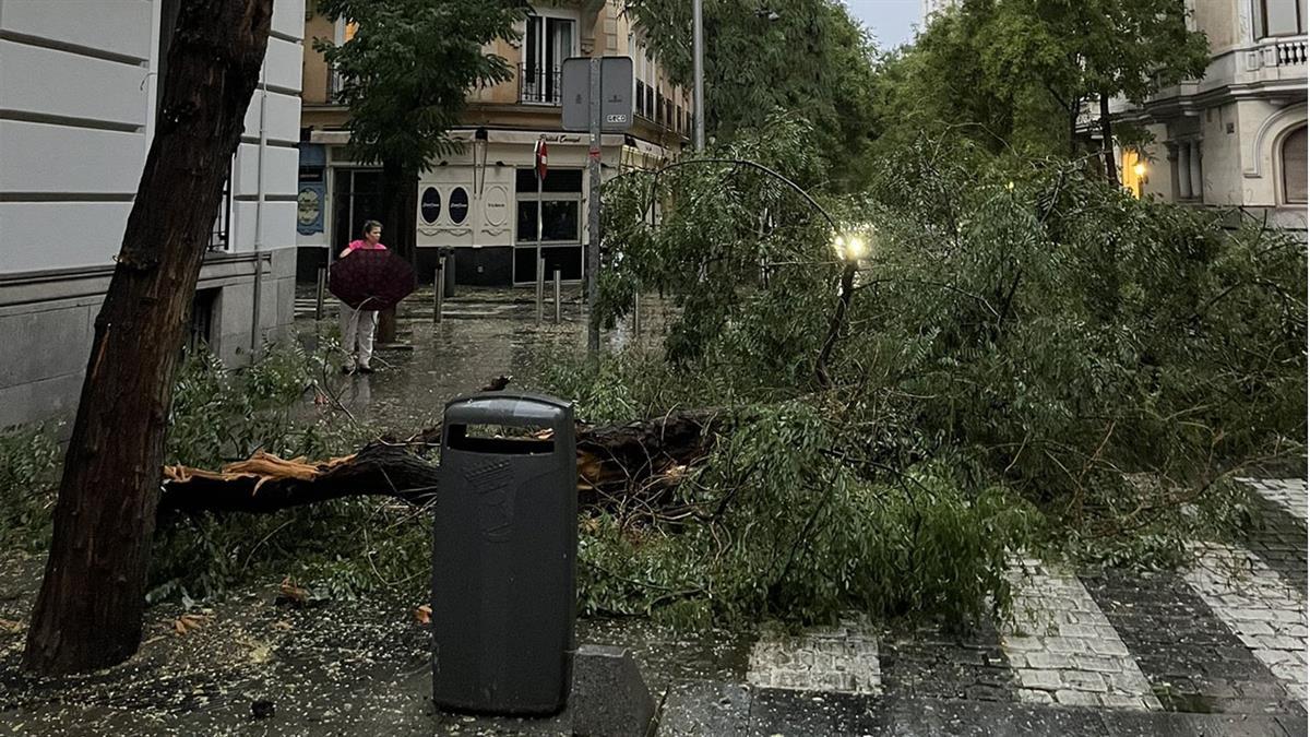 Desde las doce de la madrugada de hoy, el cuerpo municipal ha realizado aproximadamente 117 atenciones 