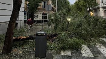 Desde las doce de la madrugada de hoy, el cuerpo municipal ha realizado aproximadamente 117 atenciones 