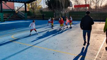 El aumento de casos ha obligado al consistorio a paralizar el servicio