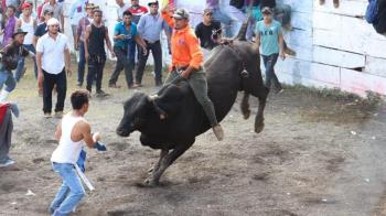 Vuelven los espectáculos taurinos a la Plaza de Toros ‘El Arenal’
