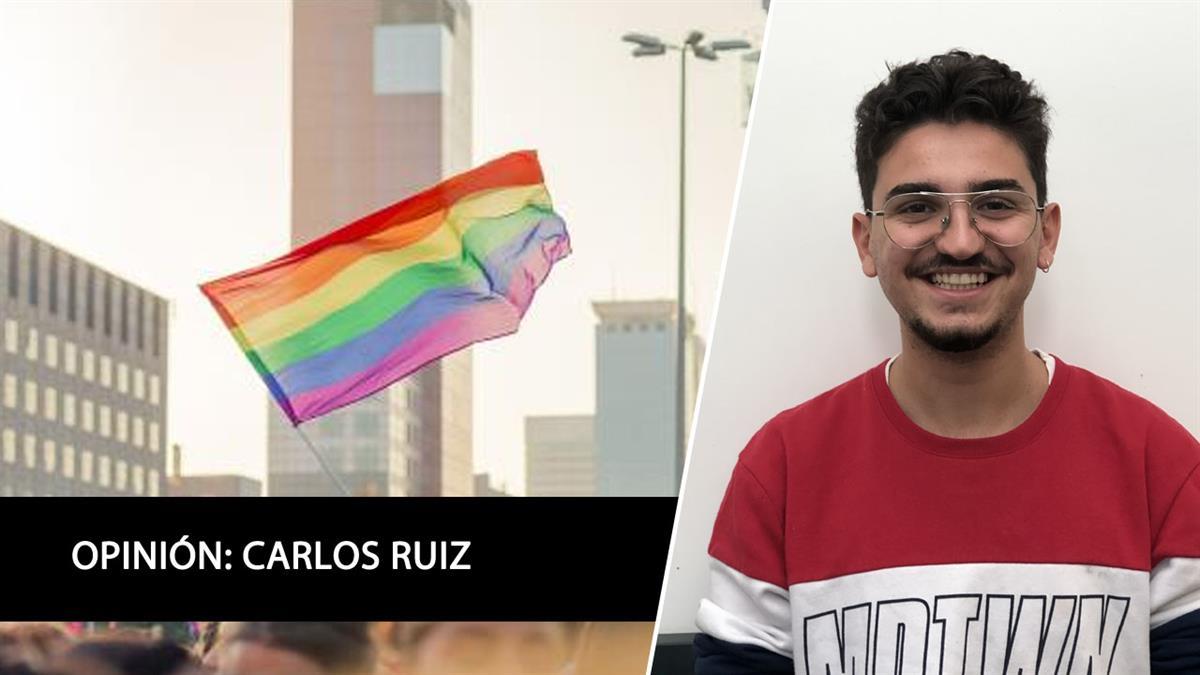 Opinión de Carlos Ruiz Diaz