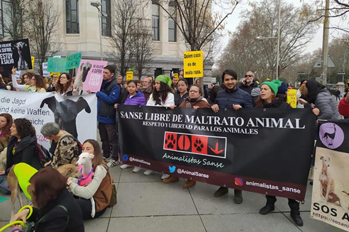 Entrevista a Animalistas Sanse ante la vuelta del circo con animales a pesar de la moción aprobada en 2016