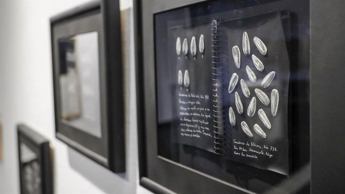 Una muestra del artista Manuel Barbero Richart