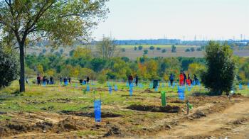 Esta plantación se enmarca en el proyecto ENO, un proyecto de la red escolar y comunitaria global para el desarrollo sostenible