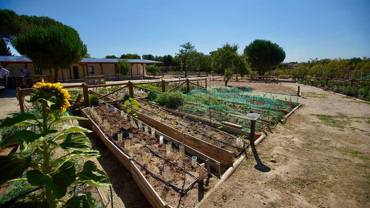 Una propuesta de actividades que tiene como objetivo promover el respeto por el Medio Ambiente y la educación en valores 