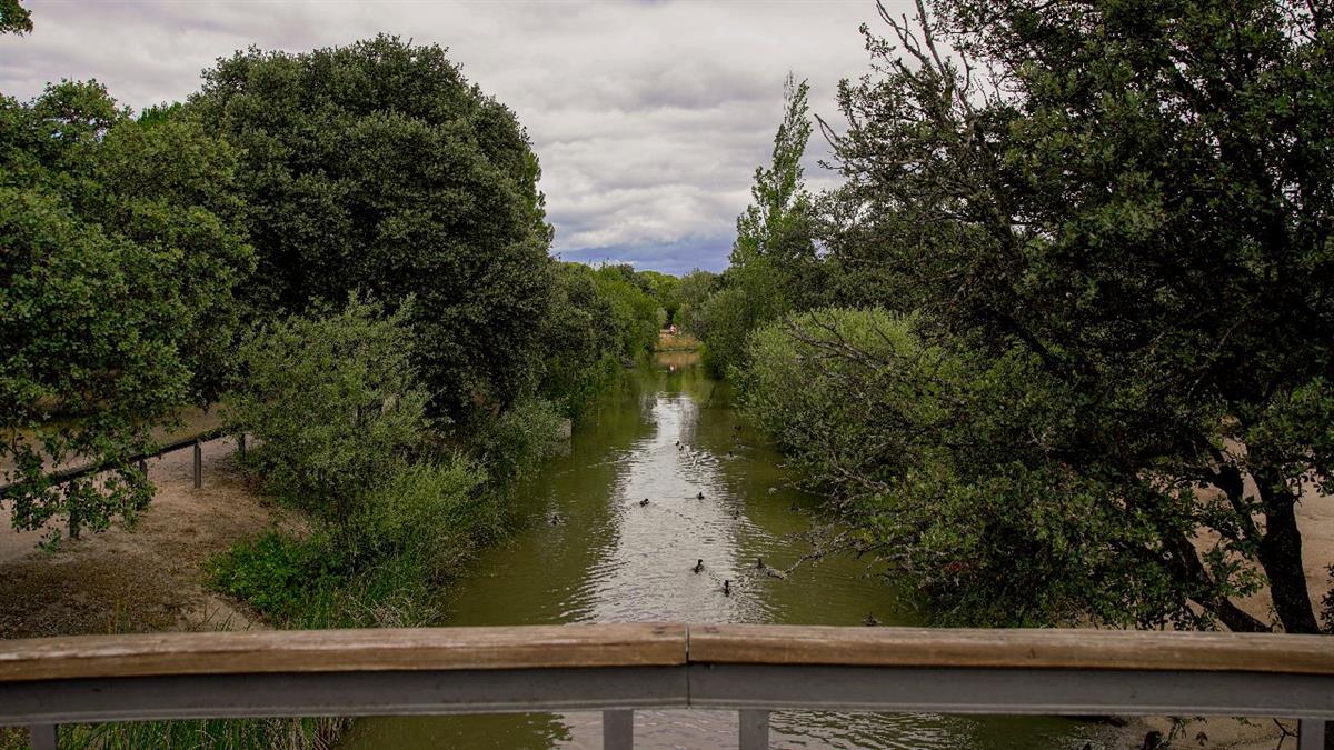 Las Rozas ejecuta 14 km de Arco Verde para conectar a los vecinos con zonas naturales
