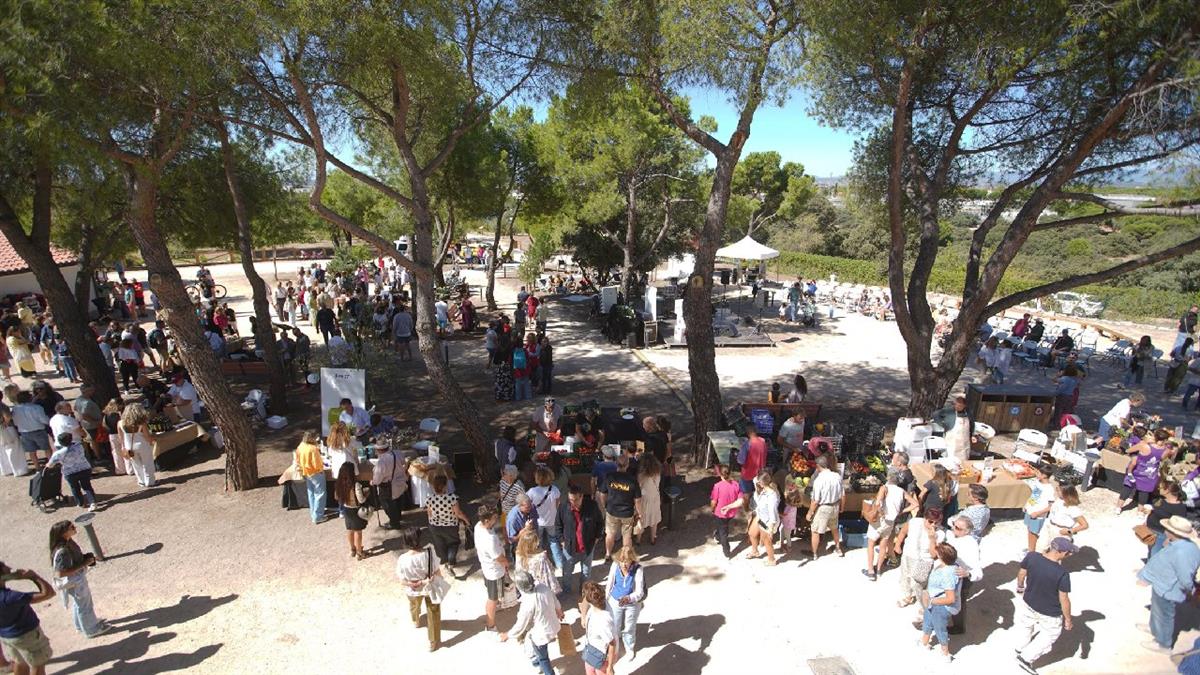 El programa de Educación Ambiental de Las Rozas cierra la temporada con cerca de 4.000 participantes