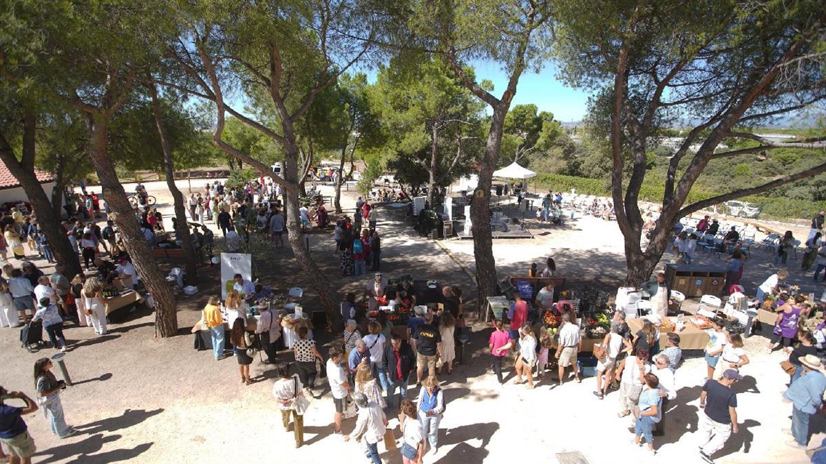 El programa de Educación Ambiental de Las Rozas cierra la temporada con cerca de 4.000 participantes