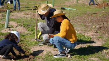 La localidad ha obtenido el premio “Tree Cities of the World 2025”