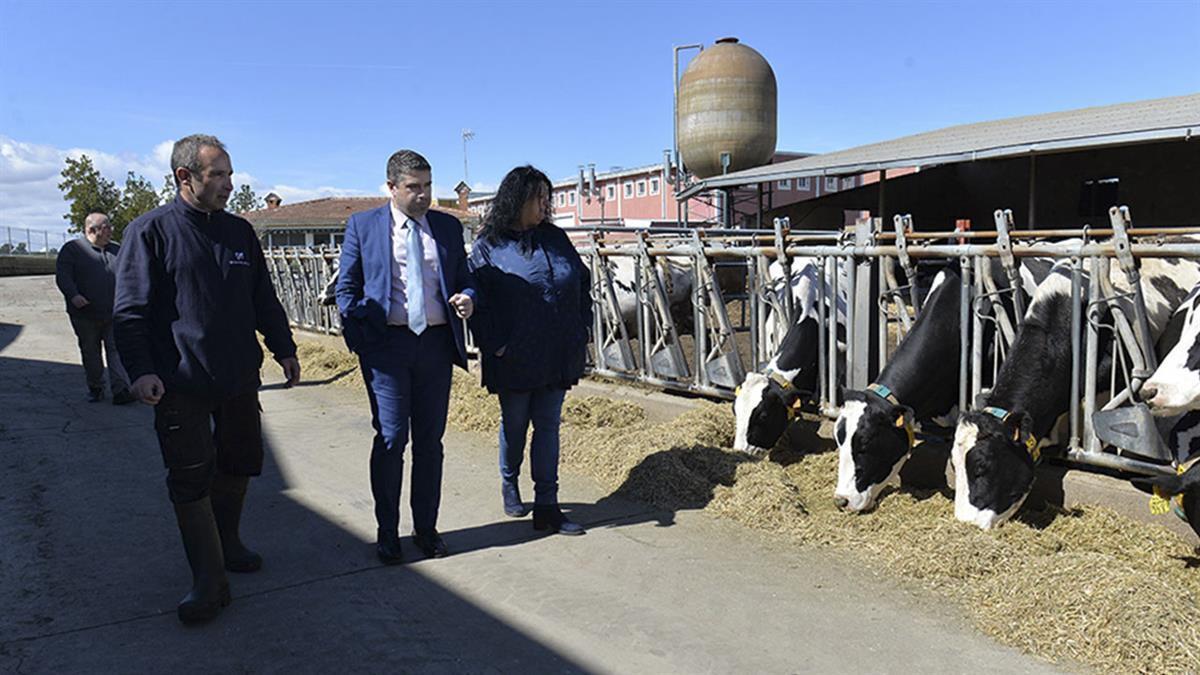 La marca de productos lácteos ha elegido la ciudad para desarrollar su actividad 