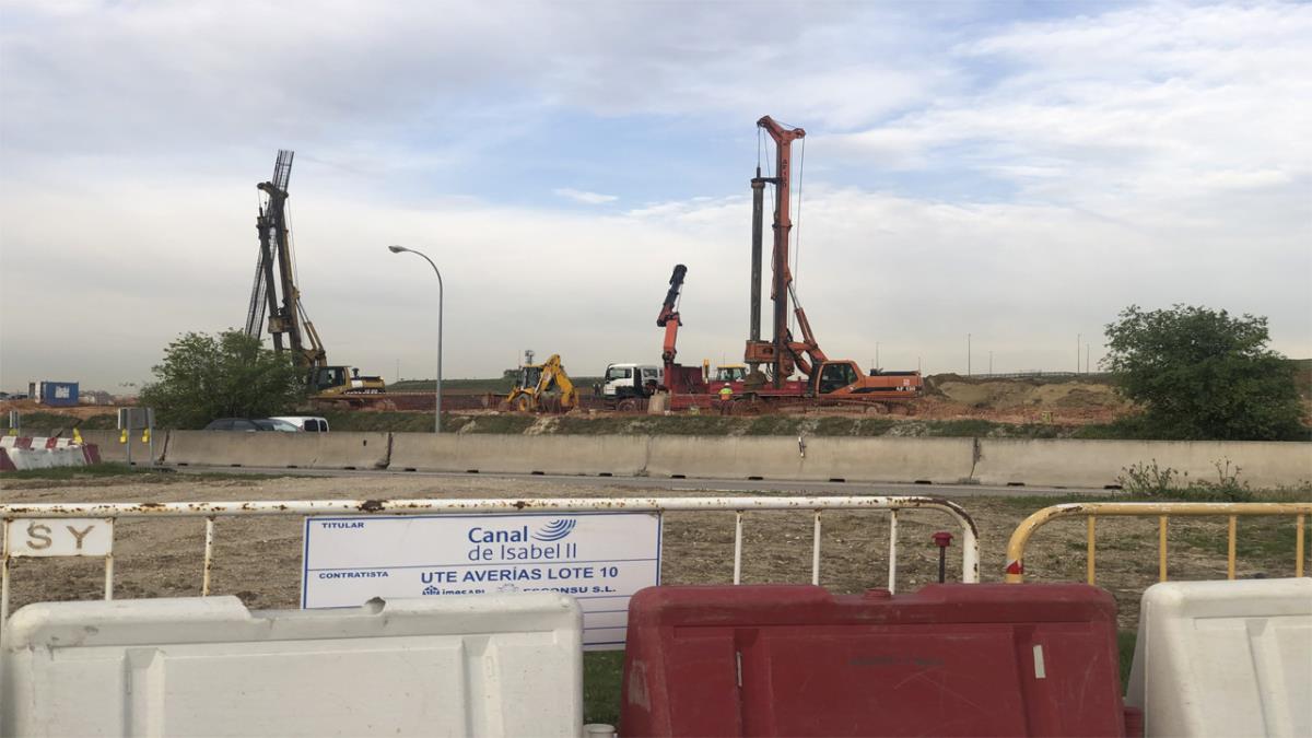 ULEG dice que el decreto se recoge la obligación de plantar más de 600 ejemplares en otra zona