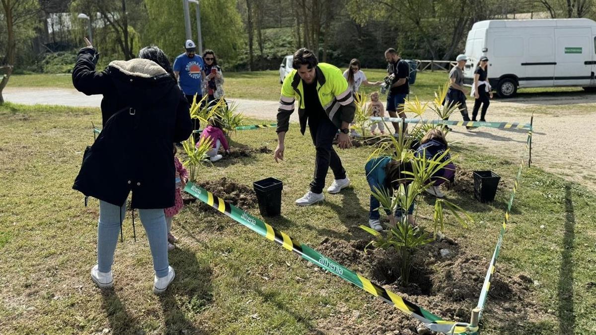 El municipio, con más de 150.000 árboles y seis millones de metros cuadrados de zonas verdes, recibe por primera vez el aval internacional de la FAO y la Fundación Arbor Day