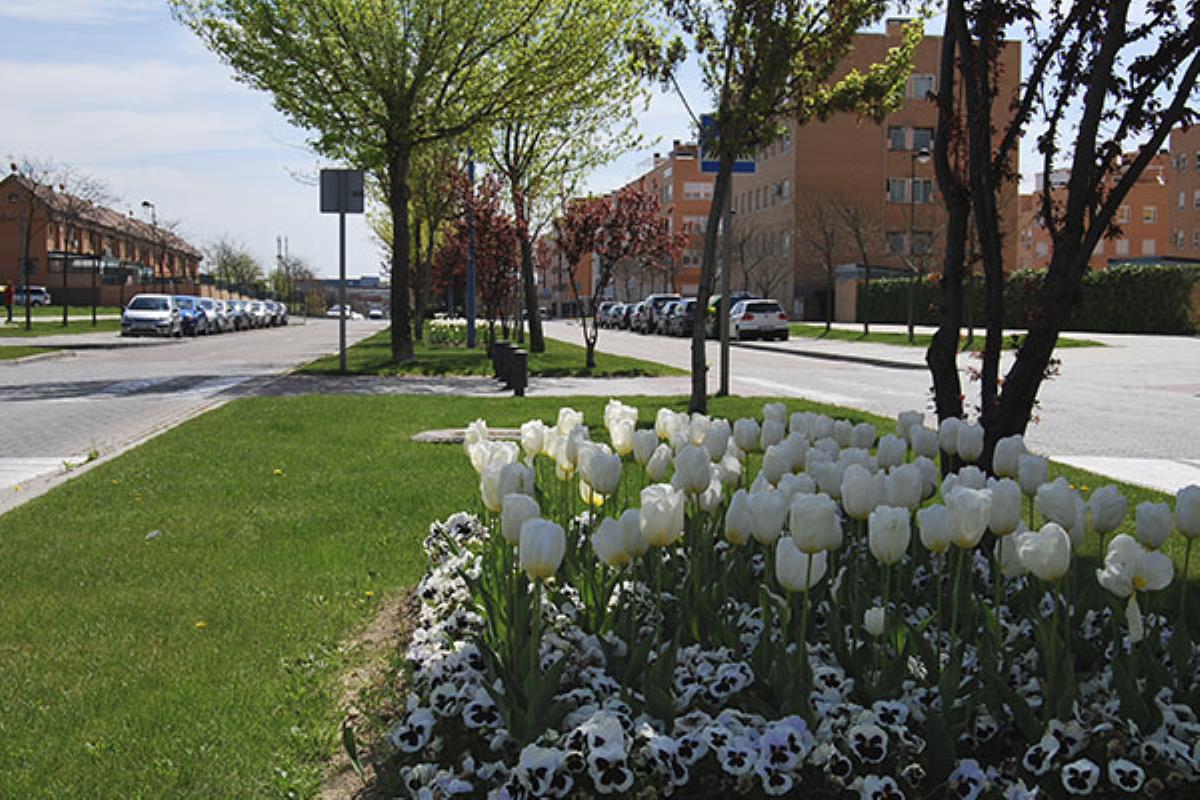 El Ayuntamiento ha recordado las medidas anticontagios frente a la Covid-19