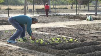 Para poder disponer de un huerto hay que residir en Leganés y ser mayor de 65 años