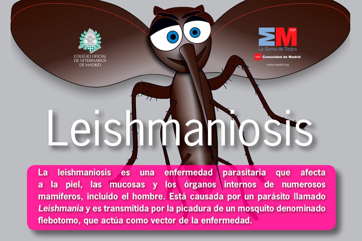 Colvema y la Consejería de Sanidad han publicado un tríptico para informarnos sobre el mosquito flebotomo