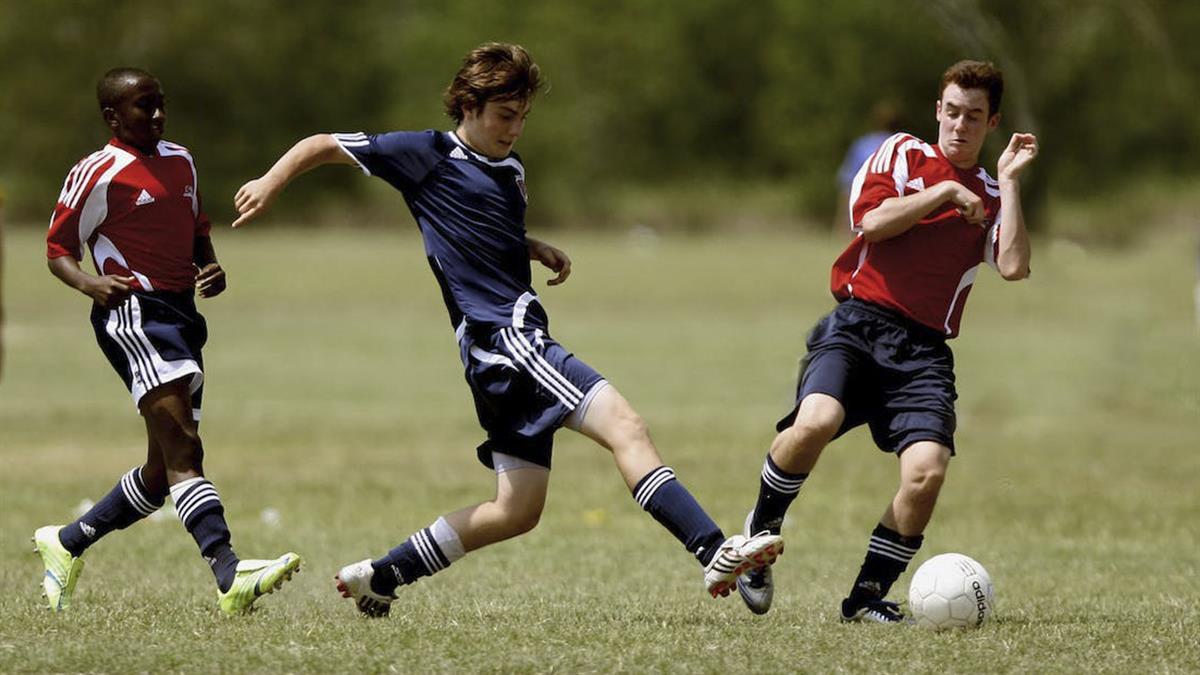 La competición arrancará a finales de octubre