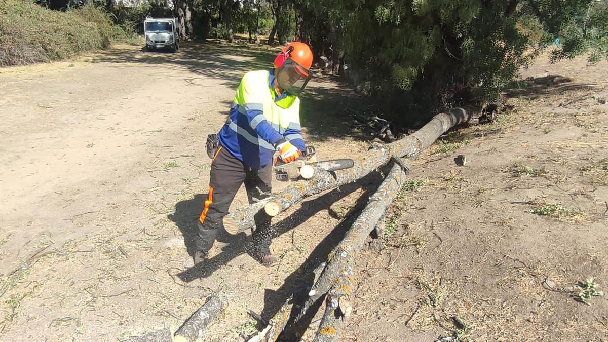 Debido a los fuertes vientos que azotaron la ciudad el pasado fin de semana