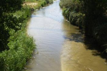 Lee toda la noticia 'Limpieza en los cauces del río'