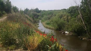 El Plan de Choque ha permitido que los valores ambientales se recuperen de forma natural
