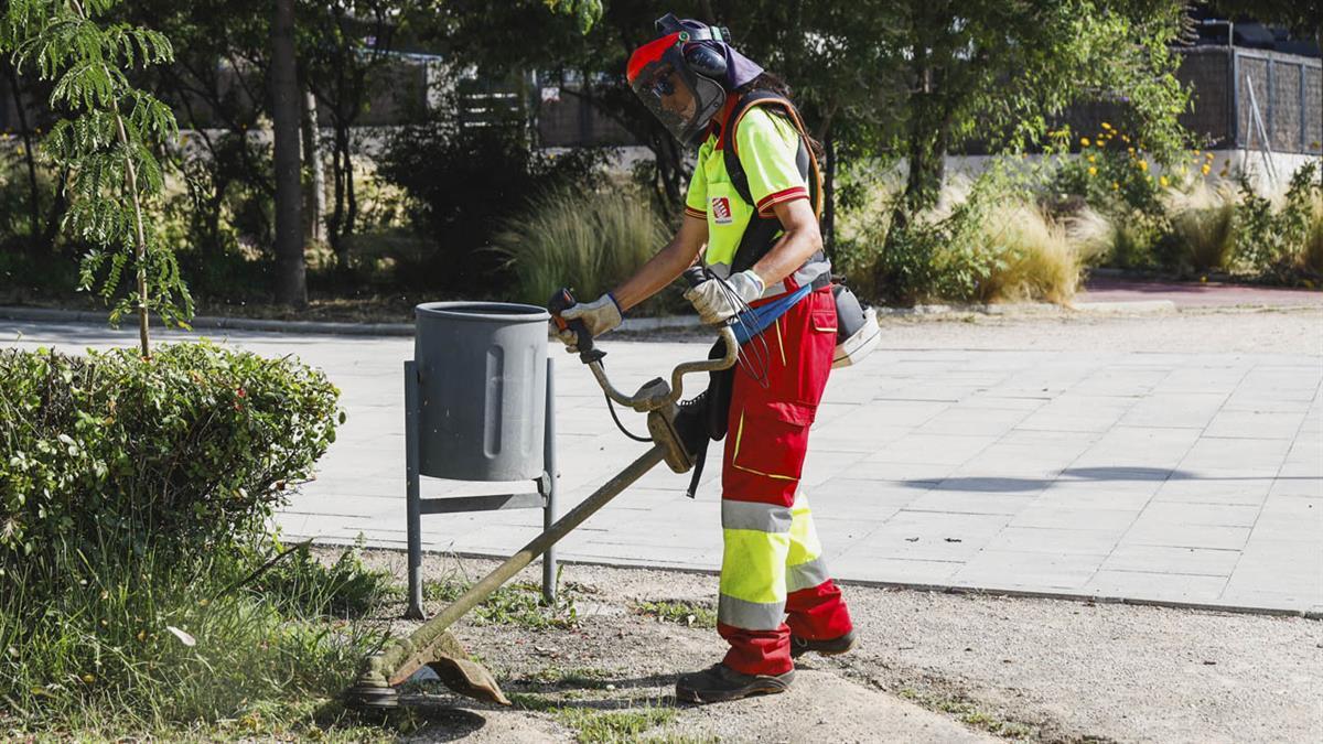 Se ha puesto en marcha una actuación especial de recogida de residuos y jardinería