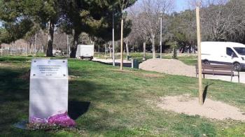 Gracias al V Plan de Arbolado se han plantado alrededor de 4.000 arboles 