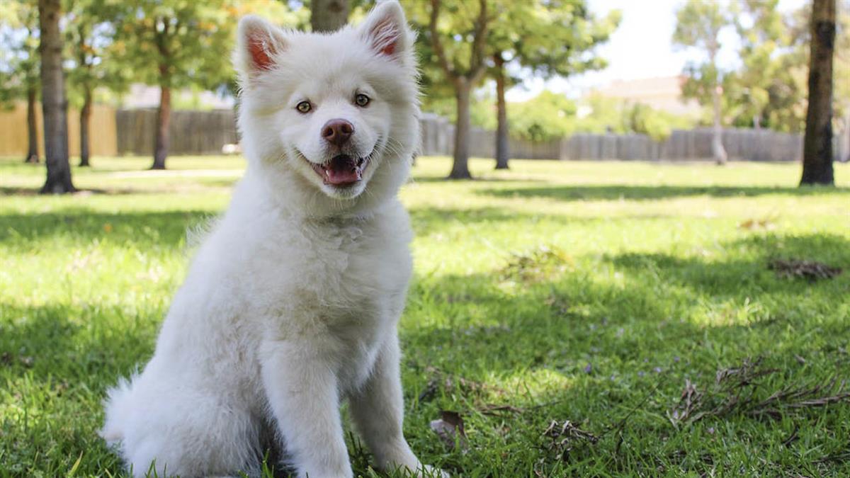 La segunda marcha por San Antón descubre este paraje a través de una ruta guiada