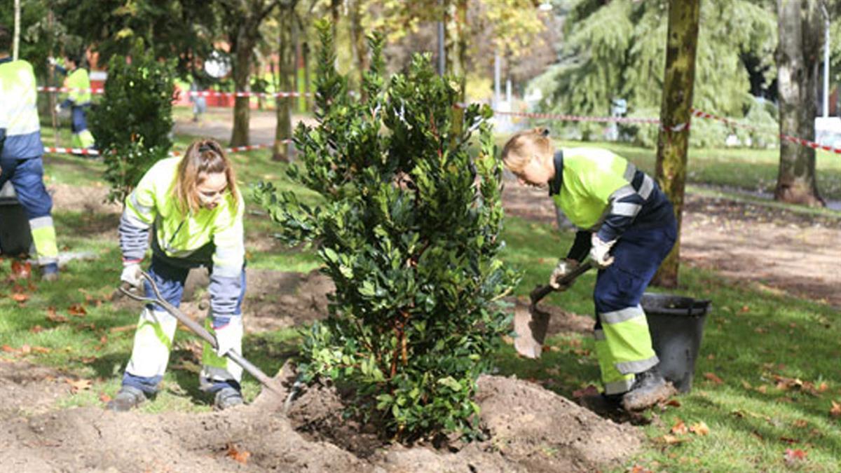 El programa contiene talleres y actividades de , de concienciación y sensibilización para todas las edades 