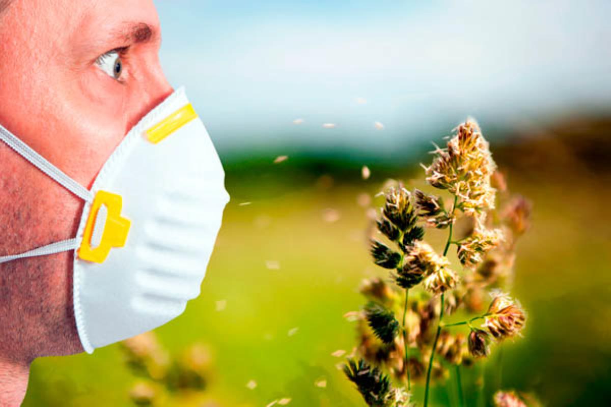 Los médicos han aconsejado su uso debido a los altos niveles de Gramíneas que presenta la Comunidad de Madrid