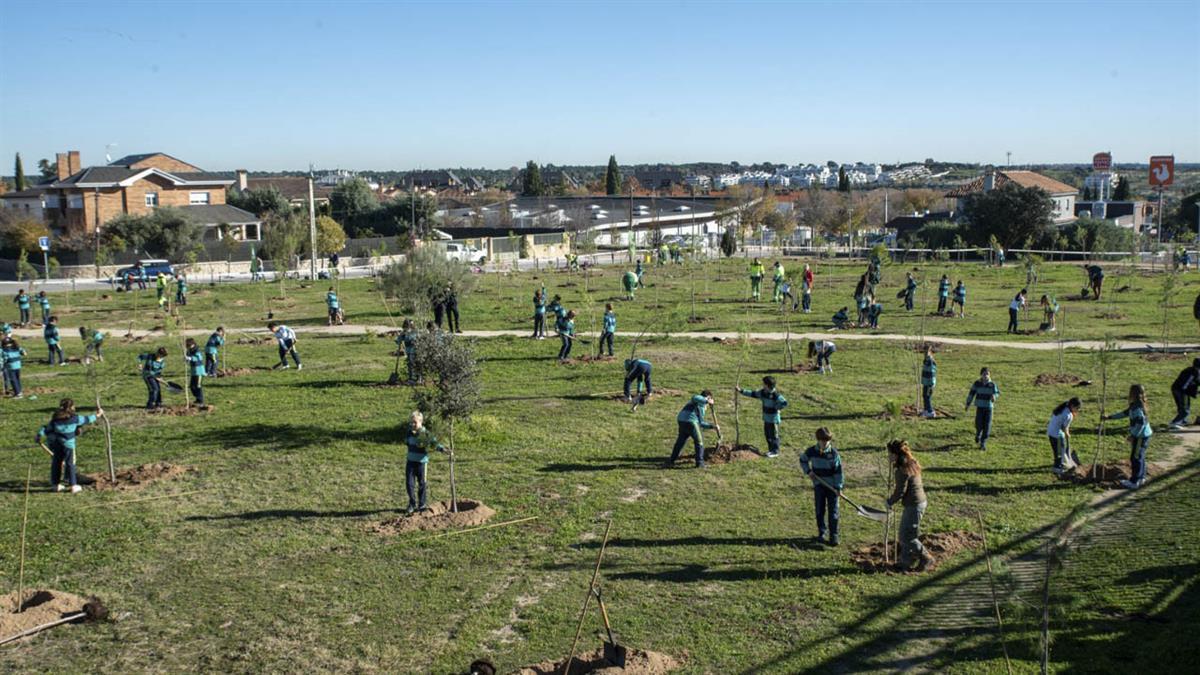 En los últimos años son varias las reforestaciones realizadas