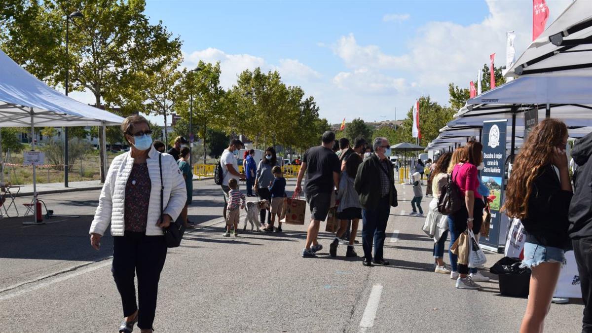 Todos los miembros del equipo podrán conducir el vehículo para conseguir el mejor tiempo