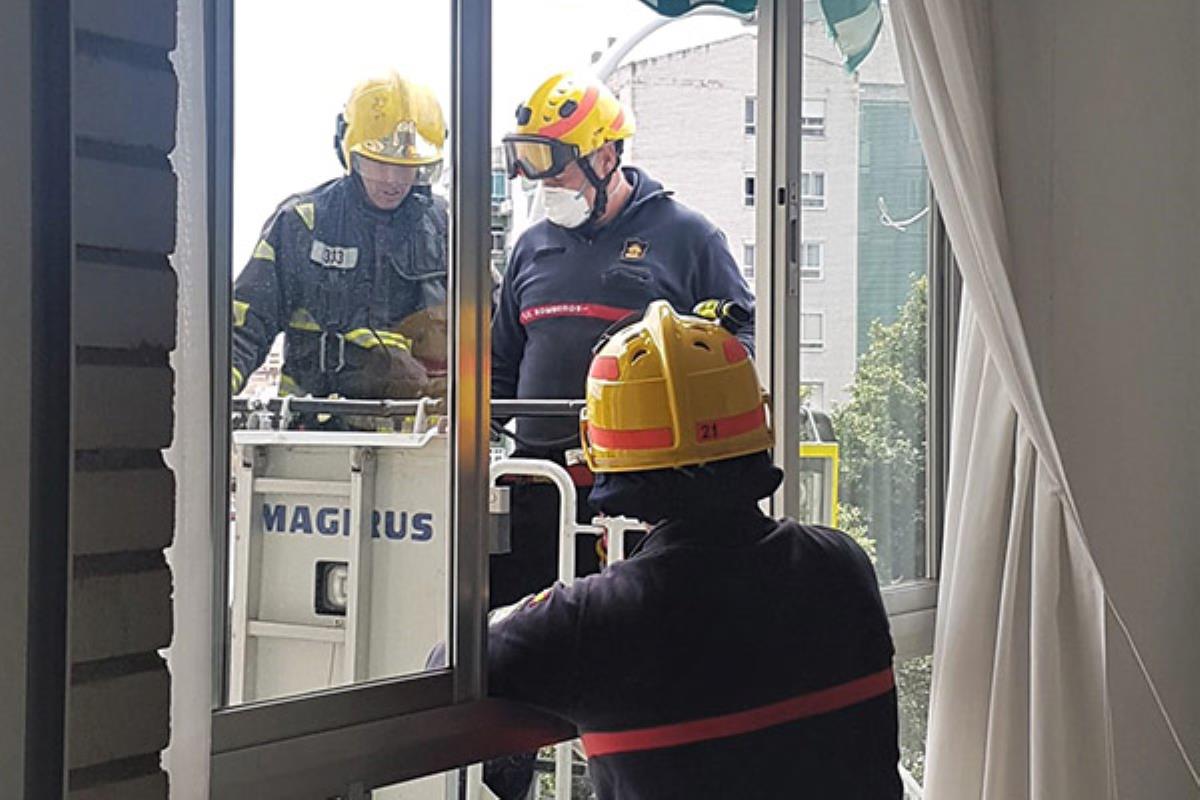 Su actividad ha disminuido entre un 30% y un 40% durante la cuarentena
