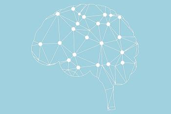 Hablamos del omega3 como combustible del cerebro y de las propiedades del romero y de la felicidad y la meditación para la calma