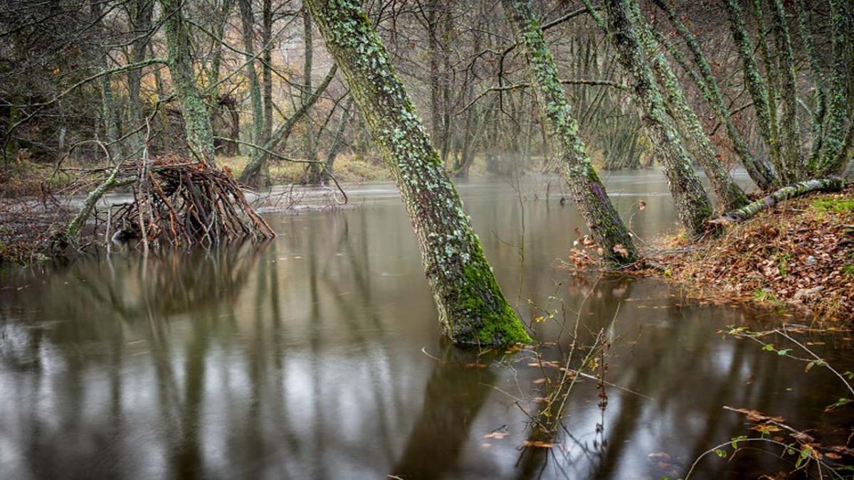 Carlos González recibió el Premio a la Mejor Colección Fotográfica, y Guillermo Galiana al mejor documental con Dron