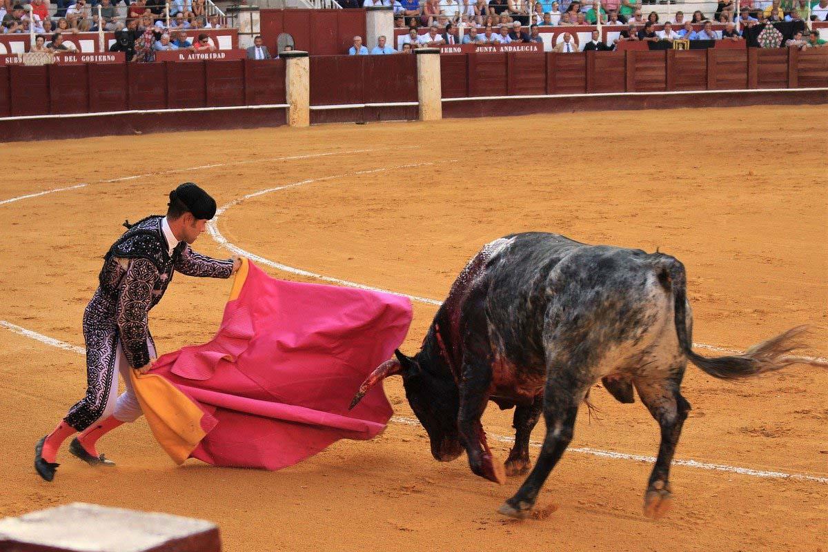 El PSOE e Izquierda Unida confrontados por el contrato de la Plaza de Toros
